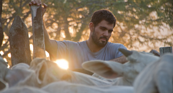 Neon Bull Juliano Cazarre