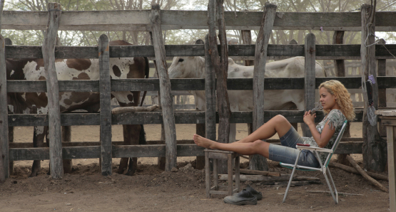 Neon Bull Maeve Jinkings 
