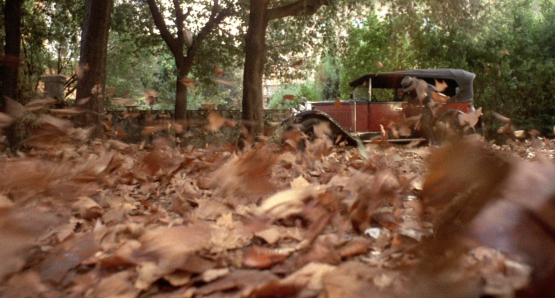 Blowing leaves. One of many indelible images from Bernardo Bertolucci's THE CONFORMIST. The cinematography is by Vittorio Storaro.