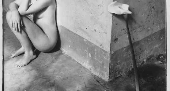 Francesca Woodman in a self portrait. 
Untitled 1977-78 (Rome)