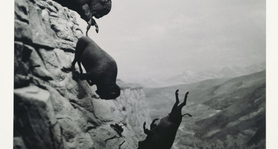 David Wojnarowicz, Untitled, 1988-89. © Estate of David Wojnarowicz. Courtesy of the Estate and P.P.O.W