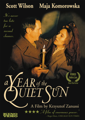 A Year of the Quiet Sun