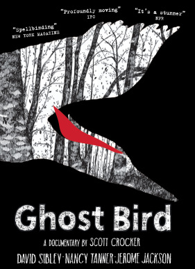 Ghost Bird