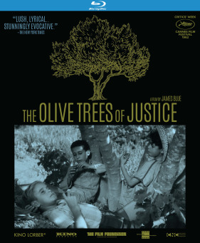 The Olive Trees of Justice