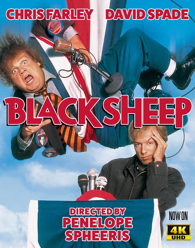 Black Sheep